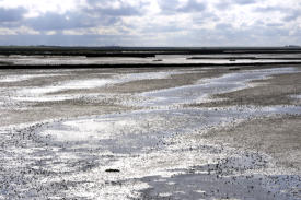 Das Wattenmeer in Dagebüll